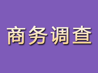 岷县商务调查